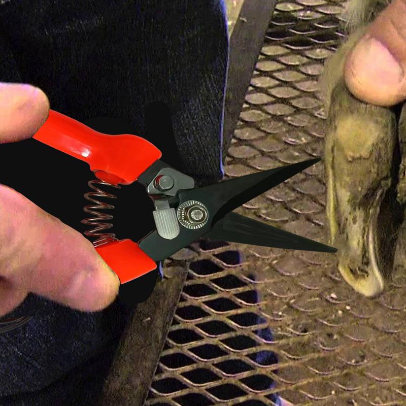 Sheep Hoof Trimmers Shrub Plan - огляд і ціна Woodworking Horse