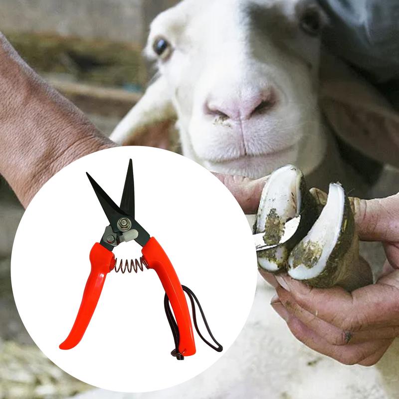 Sheep Hoof Trimmers Shrub Plan - огляд і ціна Woodworking Horse