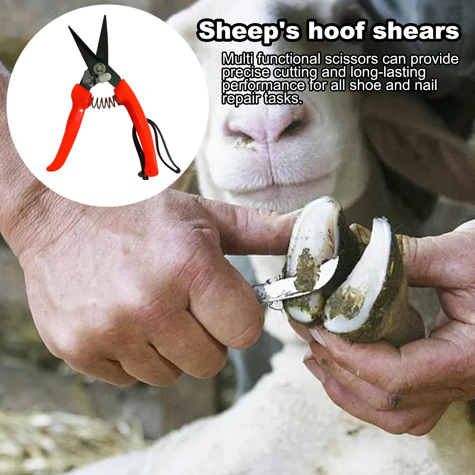 Goat Hoof Trimmer Ergonomic Sh - огляд і ціна Woodworking Horse