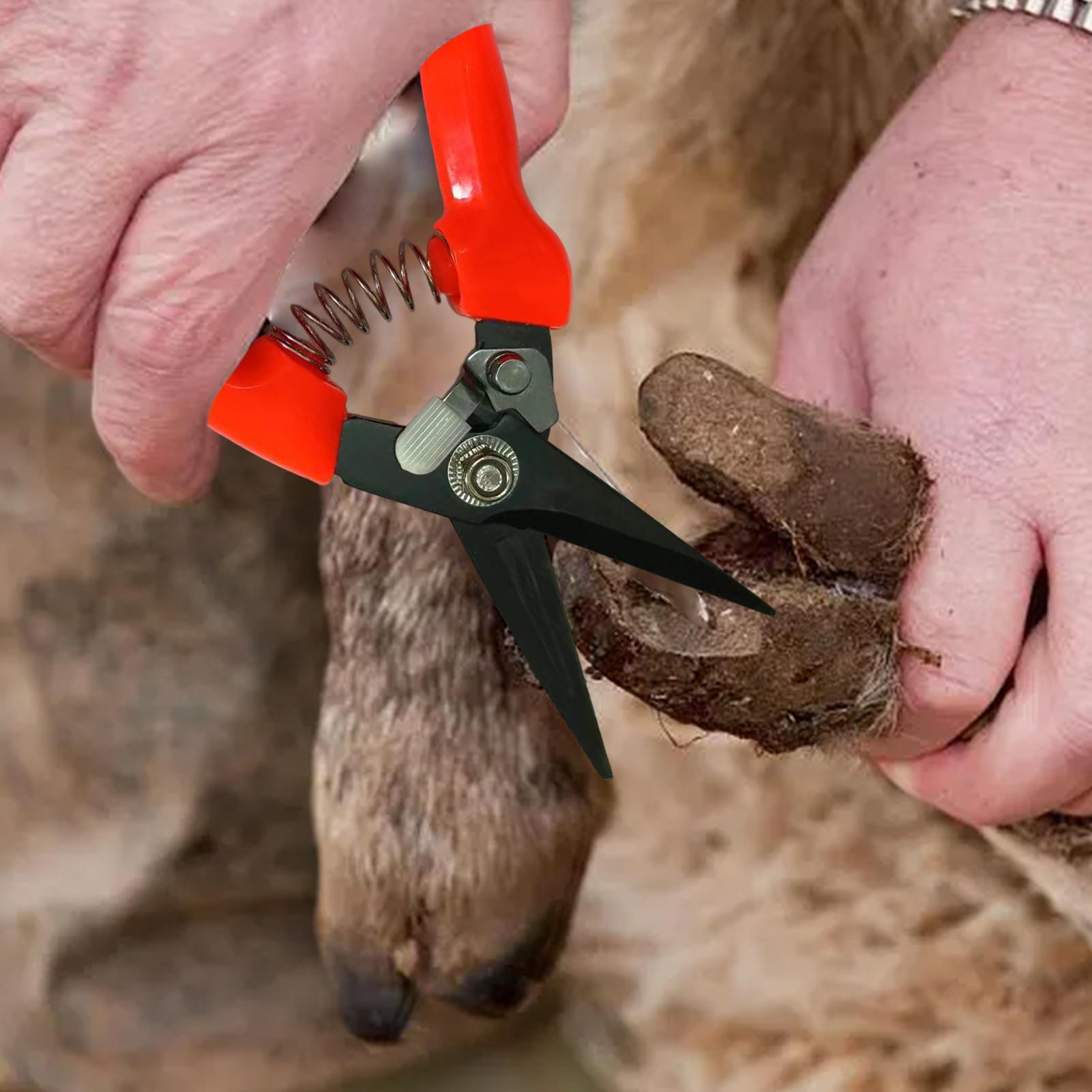 Goat Hoof Trimmer Ergonomic Sh - огляд і ціна Woodworking Horse