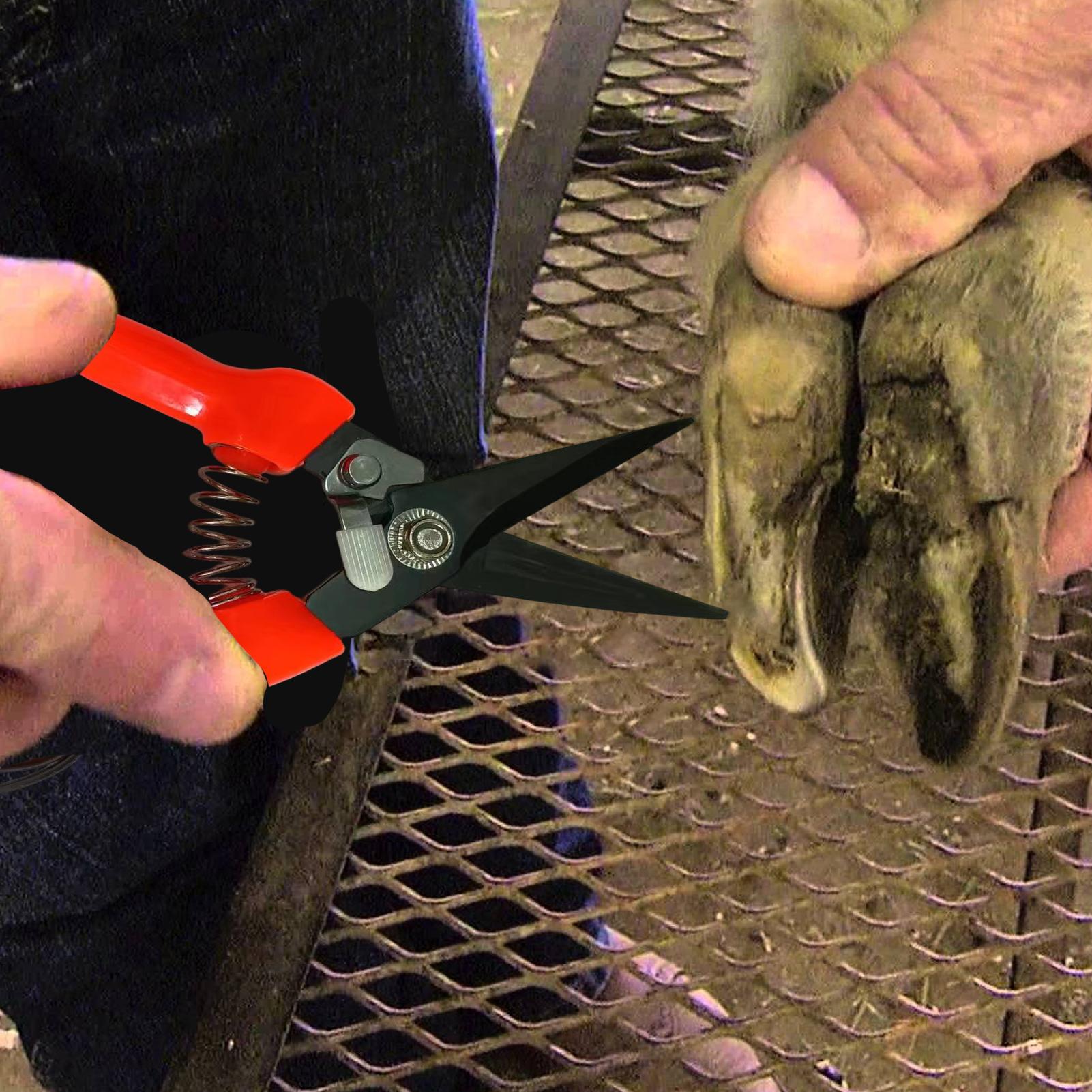 Goat Hoof Trimmer Ergonomic Sh - огляд і ціна Woodworking Horse